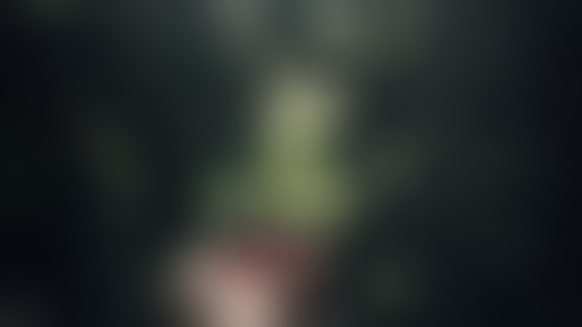 Feed 01